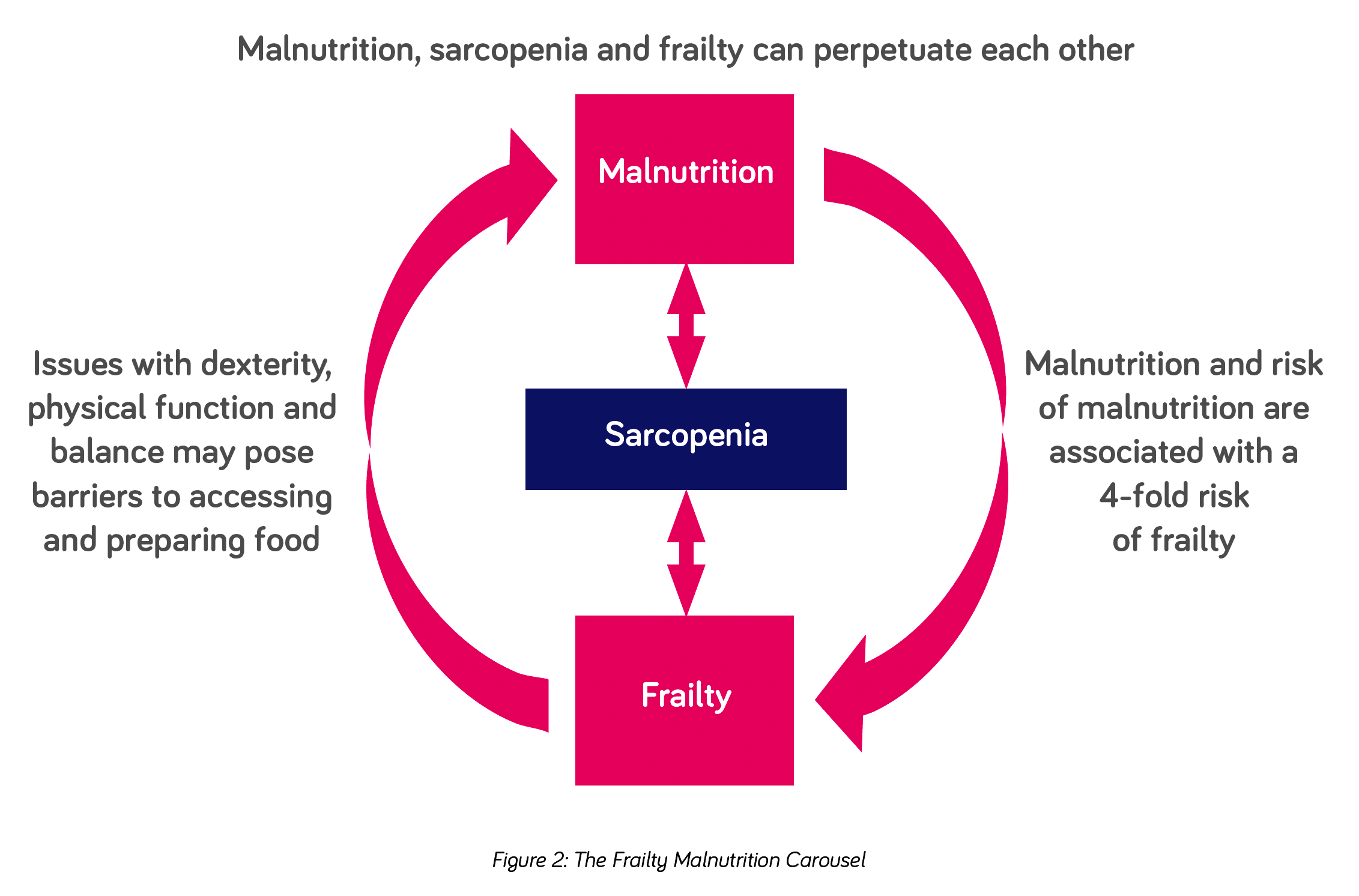 diagram to show the carousel of frailty