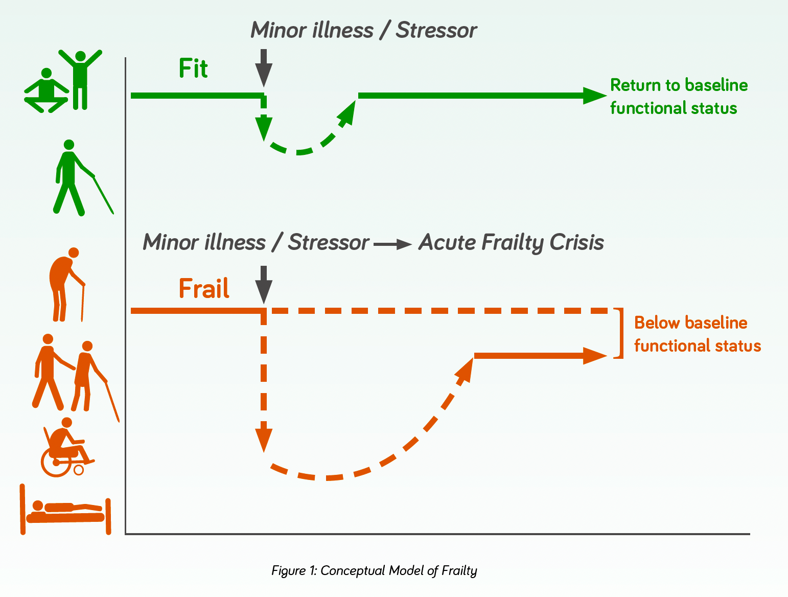 diagram to show the conceptual model of frailty